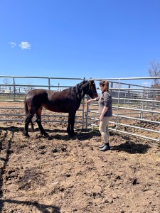 First touches with Hazel at RAMS