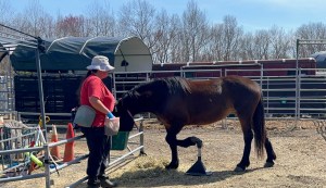 Hazel with her trainer at Wild Ride